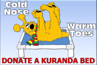 Kuranda Dog