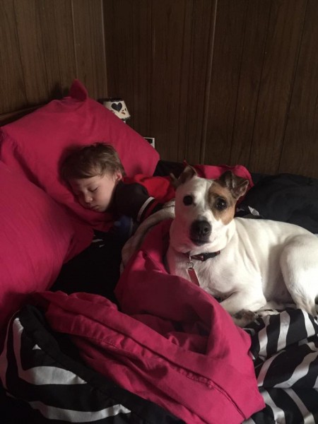 I adopted Bandit a little over a week ago, here's a picture of him, settled in quite well. As you can see, he's taken very well to my 2 year old son and they are the best of friends!! 